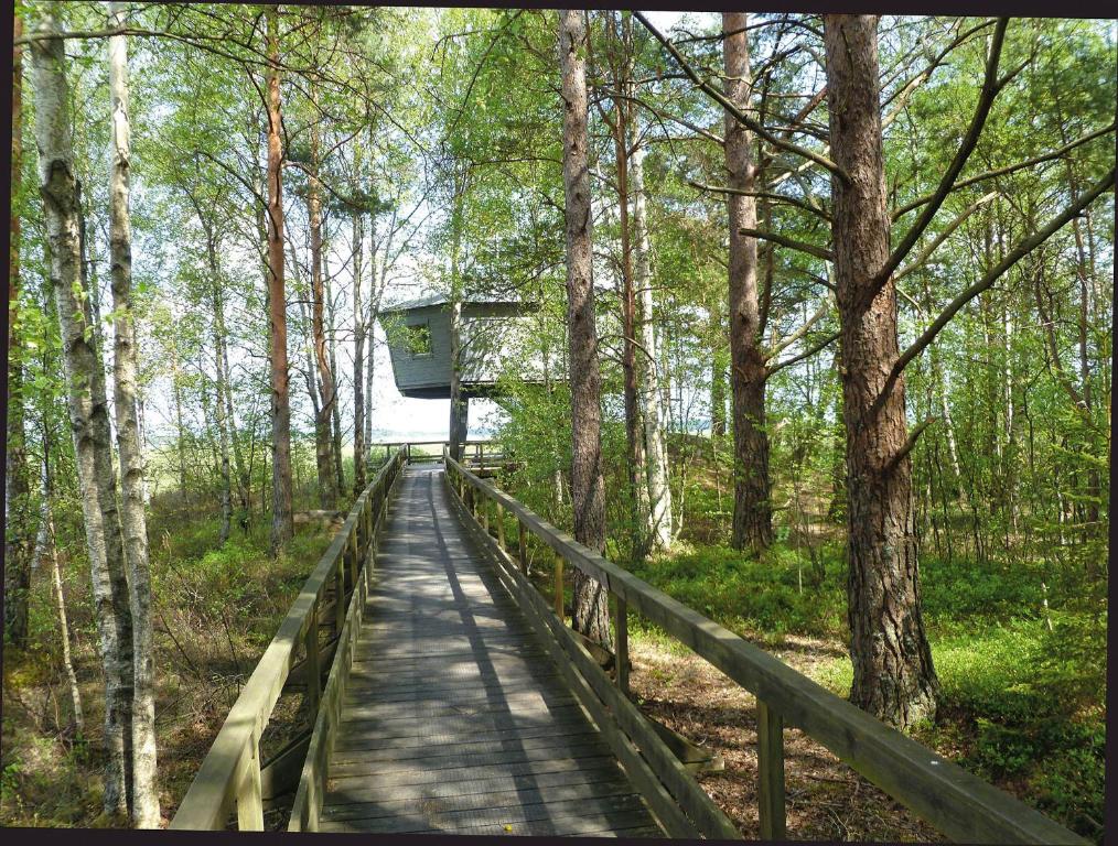 Příroda nedaleko hotelu