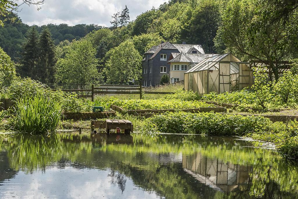 a garden with a pond with a house in the background at Landgasthof Hieren Mühle in Ney
