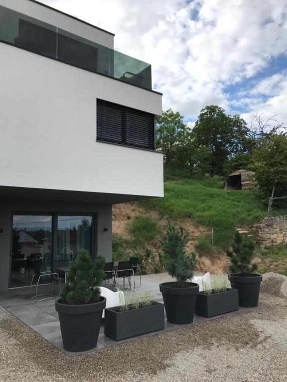 TheGuthPlace – photo 3