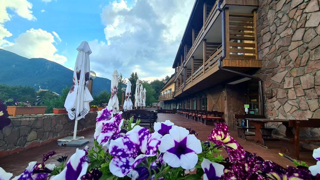 a group of umbrellas and flowers in front of a building at Hotel Panorama in Panichishte