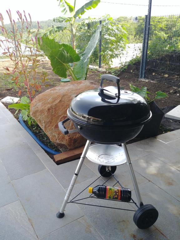 Barbecue & Grillades