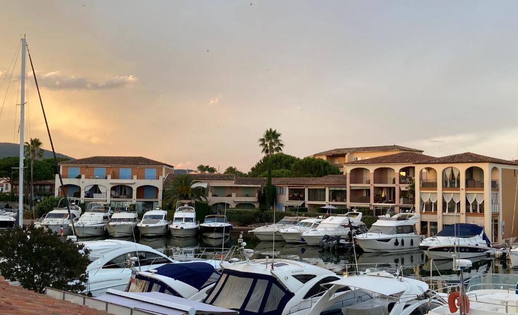 un gruppo di barche parcheggiate in un porto turistico di l'escale a Cogolin