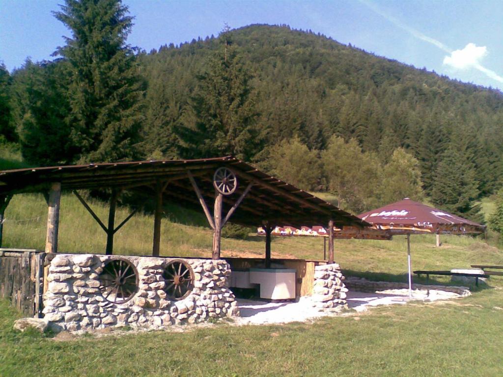 Príroda v okolí horskej chaty