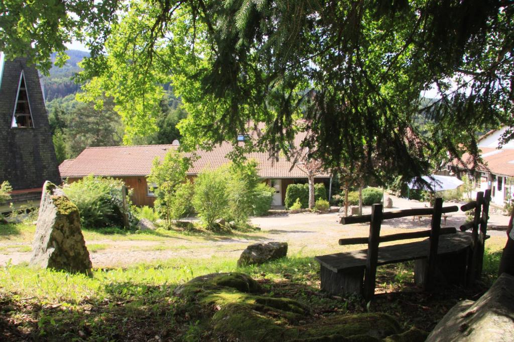 a park bench under a tree with a house in the background at Notre Dame des Monts in Ban-sur-Meurthe-Clefcy