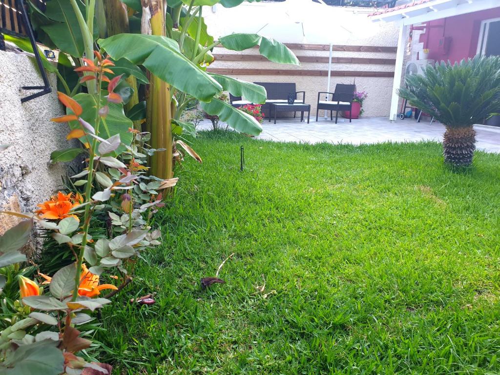 Zahrada ubytování Aloe house Lakithra
