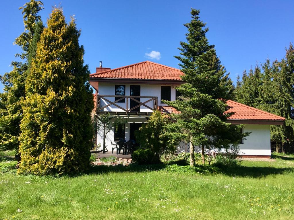 a house with a red roof and some trees at Shanty in Kajkowo