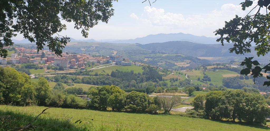 uma vista para uma cidade a partir de uma colina em Apartamentos La Panerona Centro em Tineo