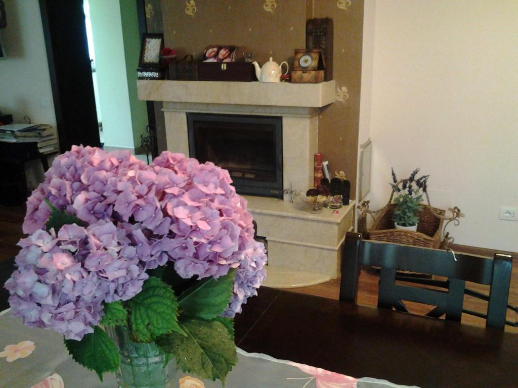 巴克烏的住宿－Casa VIP，客厅桌子上的紫色花瓶