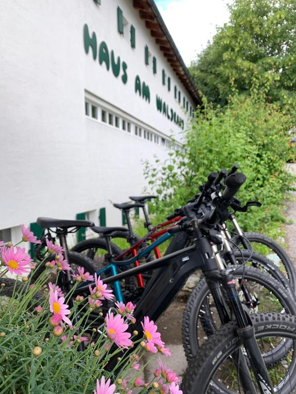Jízda na kole v ubytování Hotel Haus am Waldrand nebo okolí