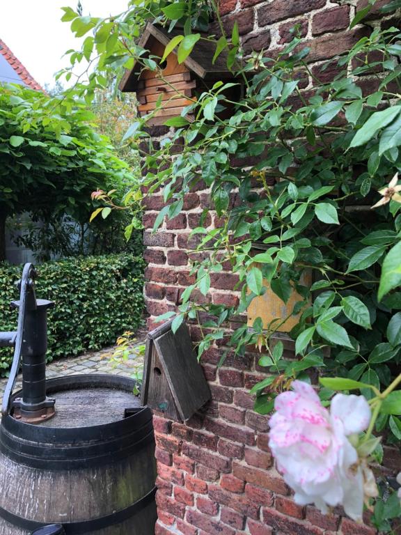 una pared de ladrillo con una casa de pájaros y una rosa rosa en B&B Vennehoeve, en Vremde