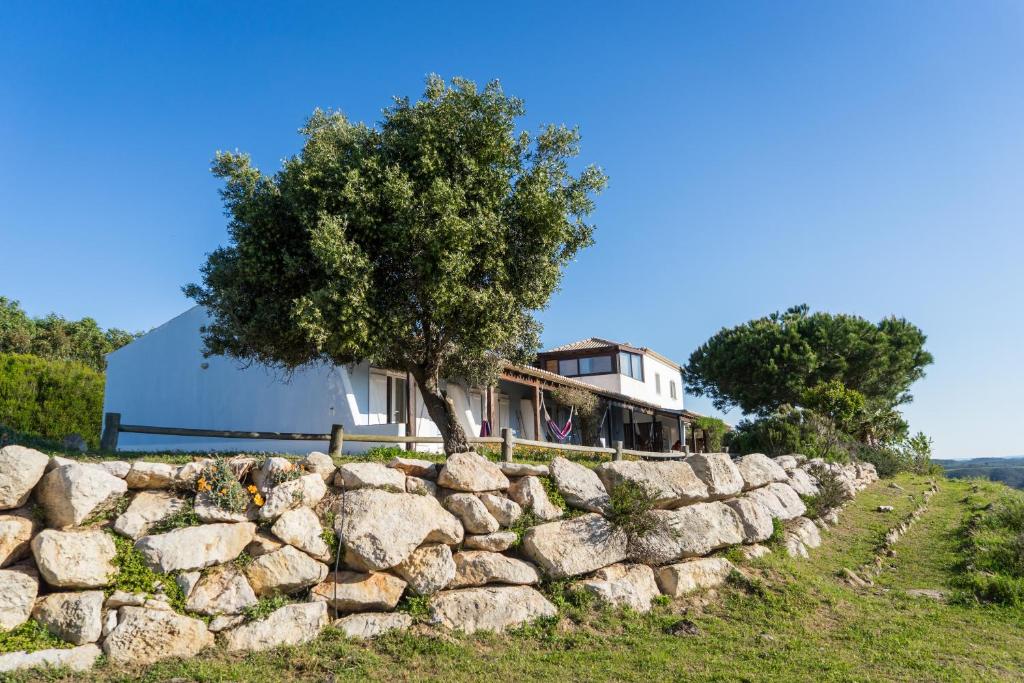 a stone wall with a tree in front of a house at Monte Velho Retreat Centre in Aljezur