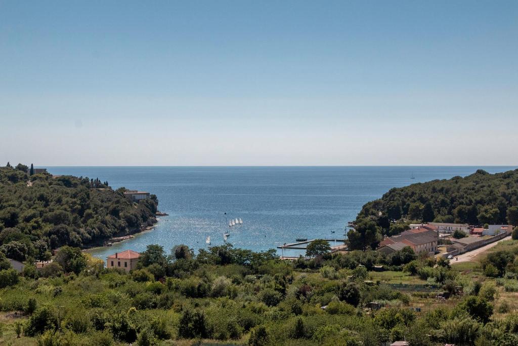 Apartman Vita