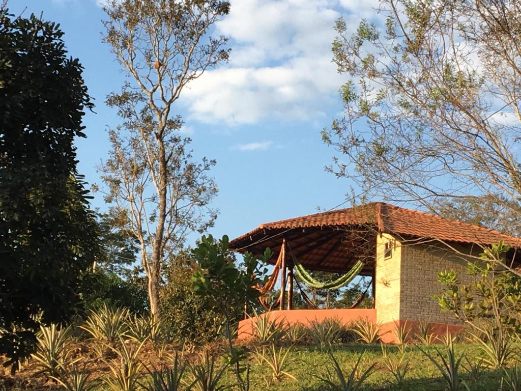 Zahrada ubytování Rancho Ecologico Oasis de Luz