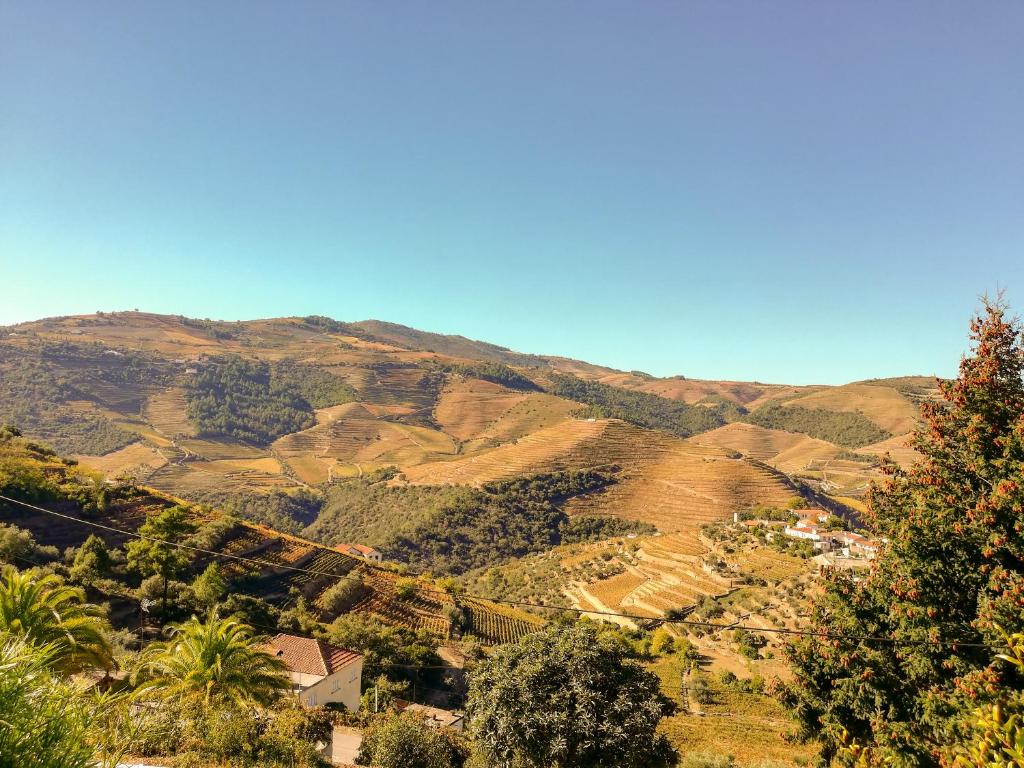 Foto da galeria de Casa Quinta Da Nogueira em Pinhão