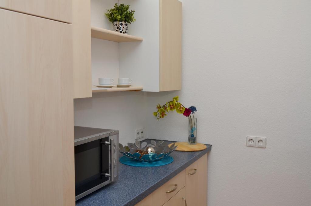 Kuchyň nebo kuchyňský kout v ubytování Neu Heidelberg - Guesthouse & Apartments