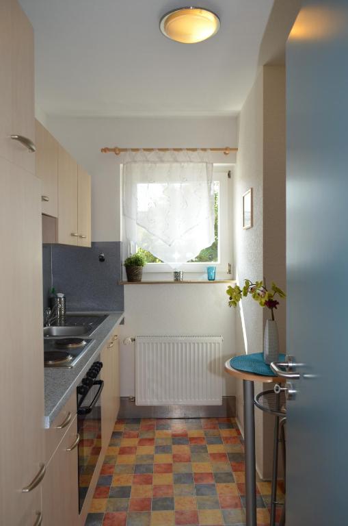 Kuchyň nebo kuchyňský kout v ubytování Neu Heidelberg - Guesthouse & Apartments