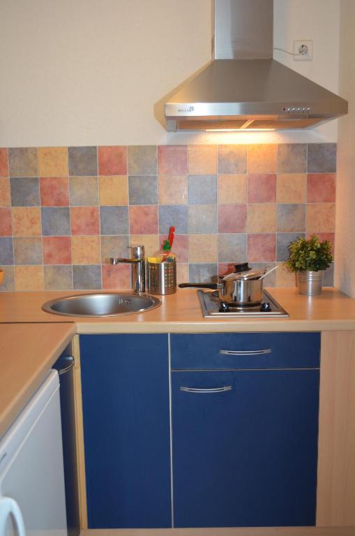Kuchyň nebo kuchyňský kout v ubytování Neu Heidelberg - Guesthouse & Apartments