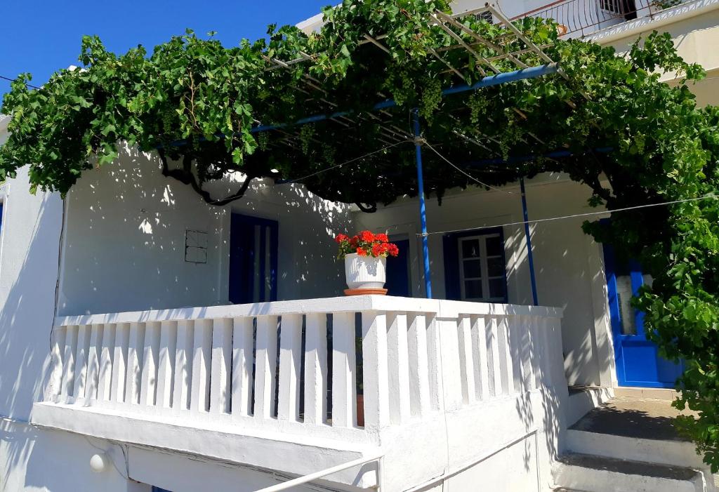 Fotografie z fotogalerie ubytování Blue Aegean v destinaci Batsi