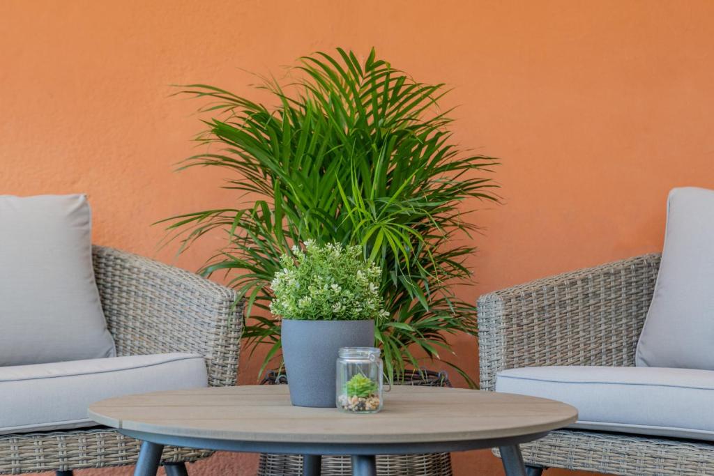 Zdjęcie z galerii obiektu Villa Aurum Health & Climatotherapy Center w Rovinj