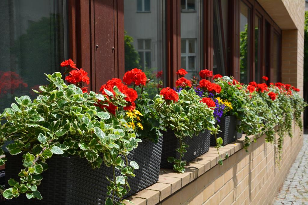 Hotel Aquino Berlin - Resim 30