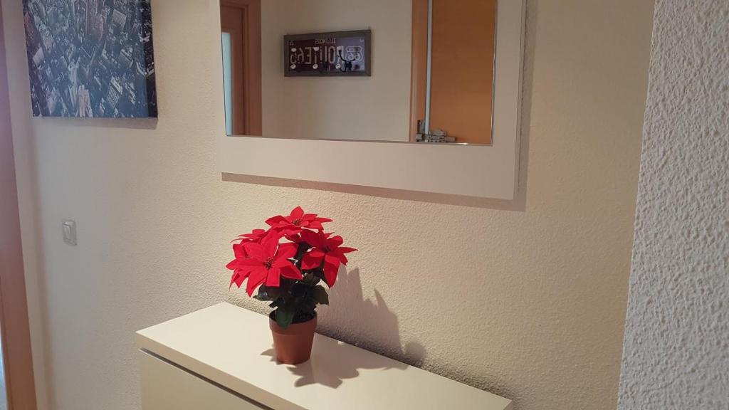 Fotografia z galérie ubytovania Apartamento con tres dormitorios Vista Mar v destinácii Santa Pola