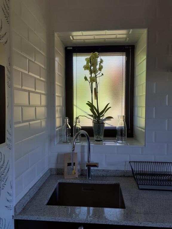 Fotografie z fotogalerie ubytování La Vierta Casa Rural Agroturismo v destinaci Ribadesella
