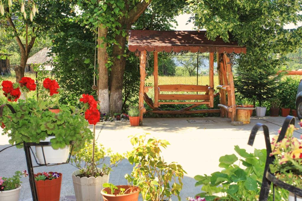 Zahrada ubytování Pensiunea Paradiso