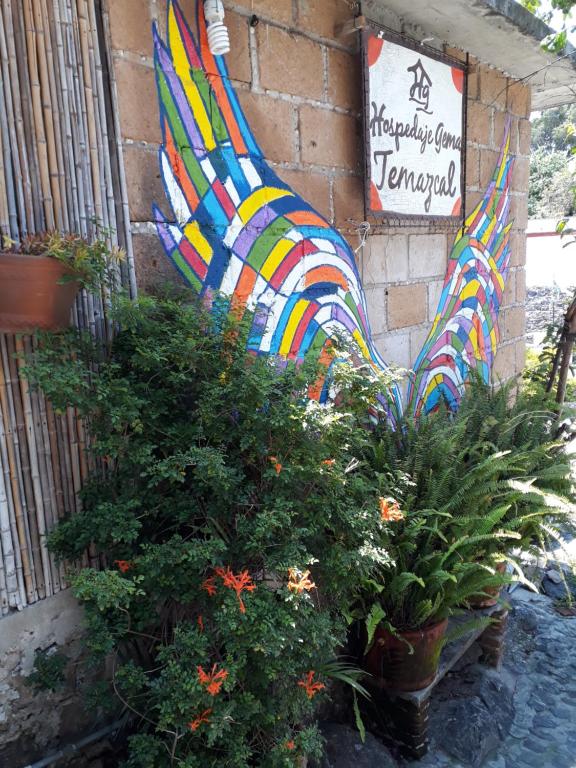 a group of plants and a wall with a colorful flag at Temazcal Hospedaje "gema" adults only in Tepoztlán