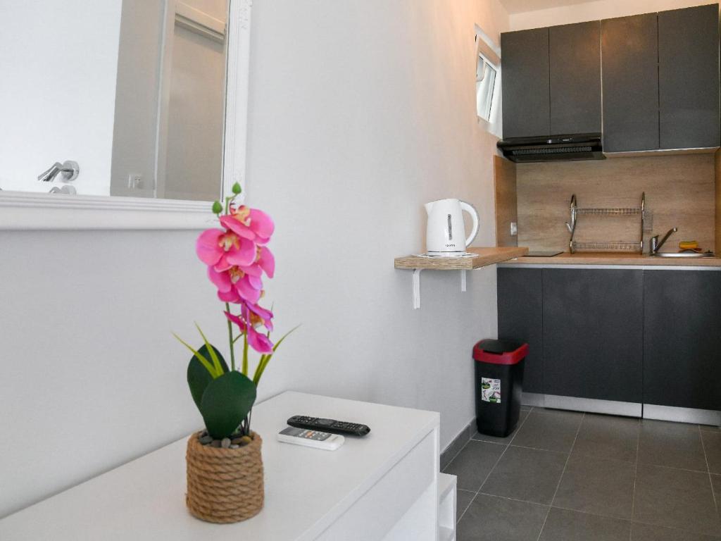 Kuchyňa alebo kuchynka v ubytovaní Apartmani Antonia
