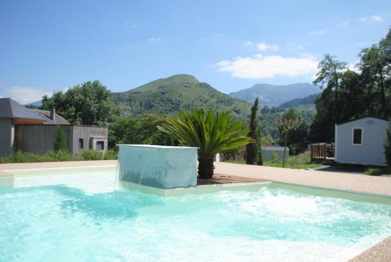 une grande piscine avec un palmier et des montagnes dans l'établissement Camping d'Arrouach, à Lourdes