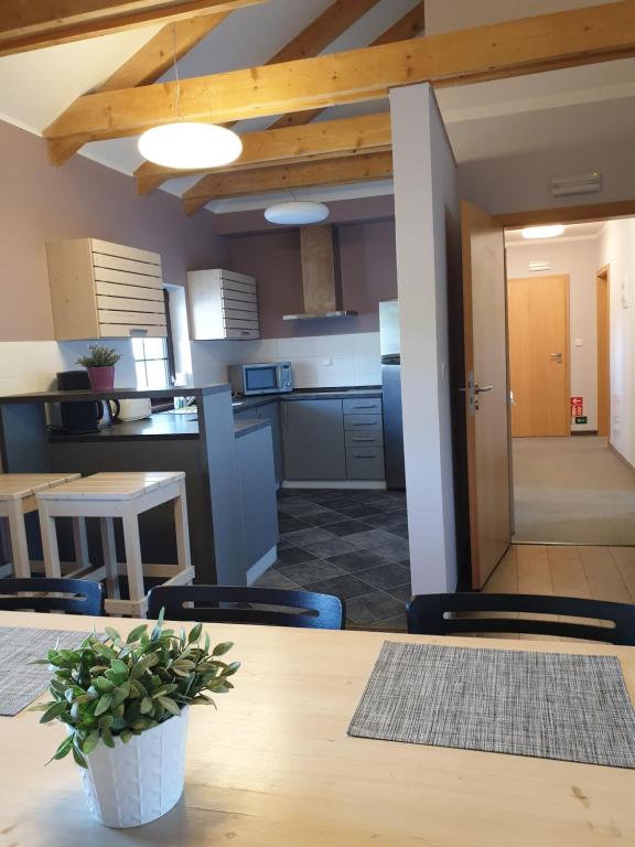 Kuchyň nebo kuchyňský kout v ubytování Apartmány Cestář Boží Dar