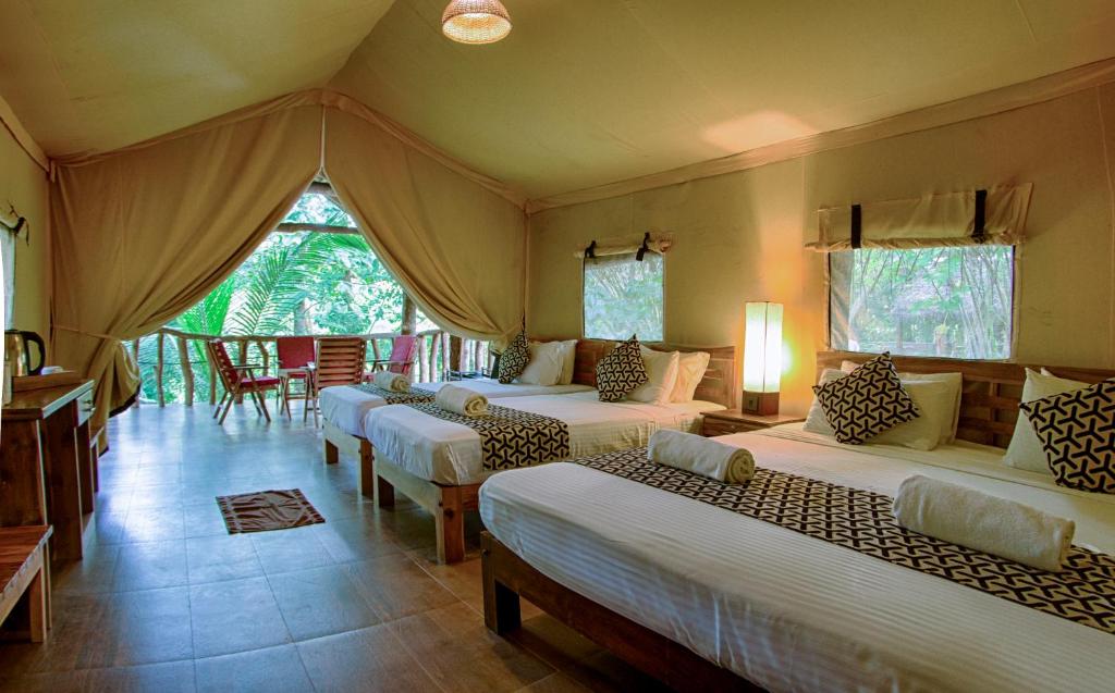 a room with four beds in a tent at Athgira River Camping - Udawalawe in Udawalawe