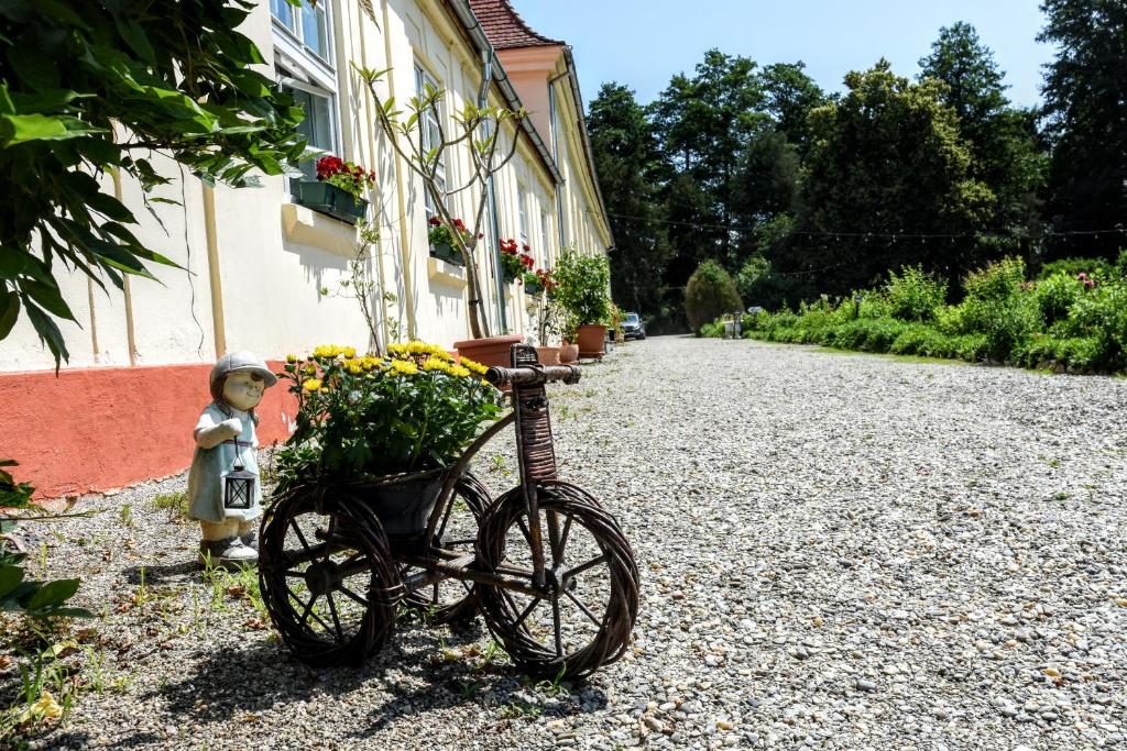 Zahrada ubytování Palatul Brukenthal Avrig