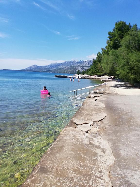 Príroda v okolí apartmánu