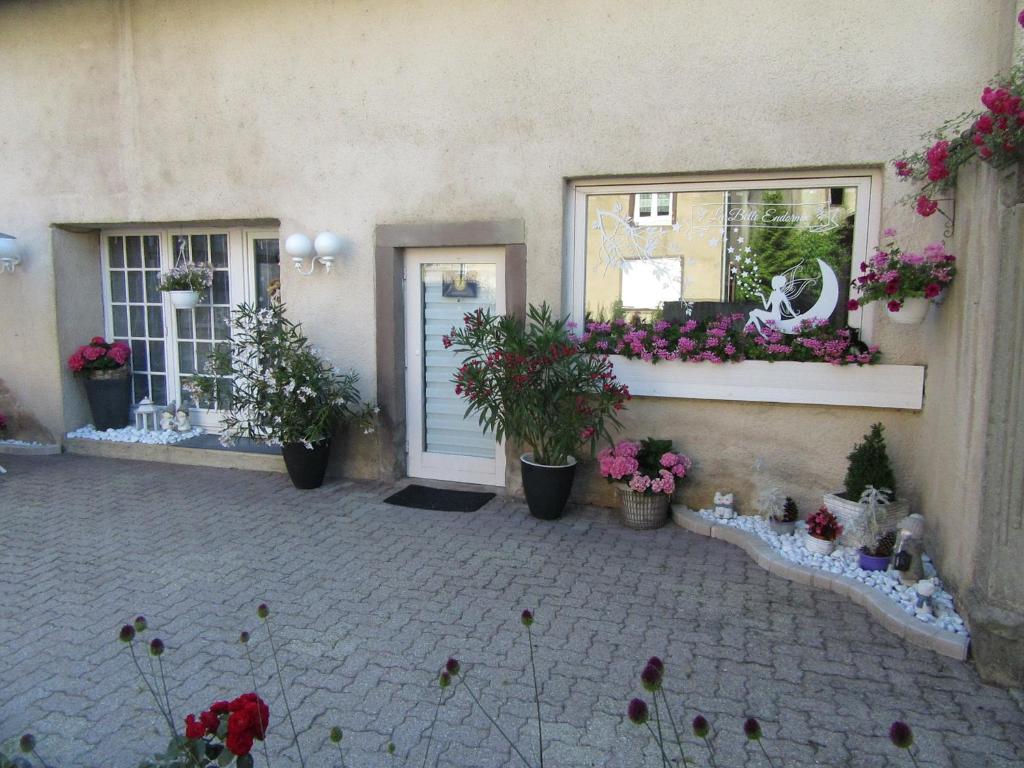 La belle endormie - appartement A في Fénétrange: مبنى به نباتات الفخار وباب به زهور
