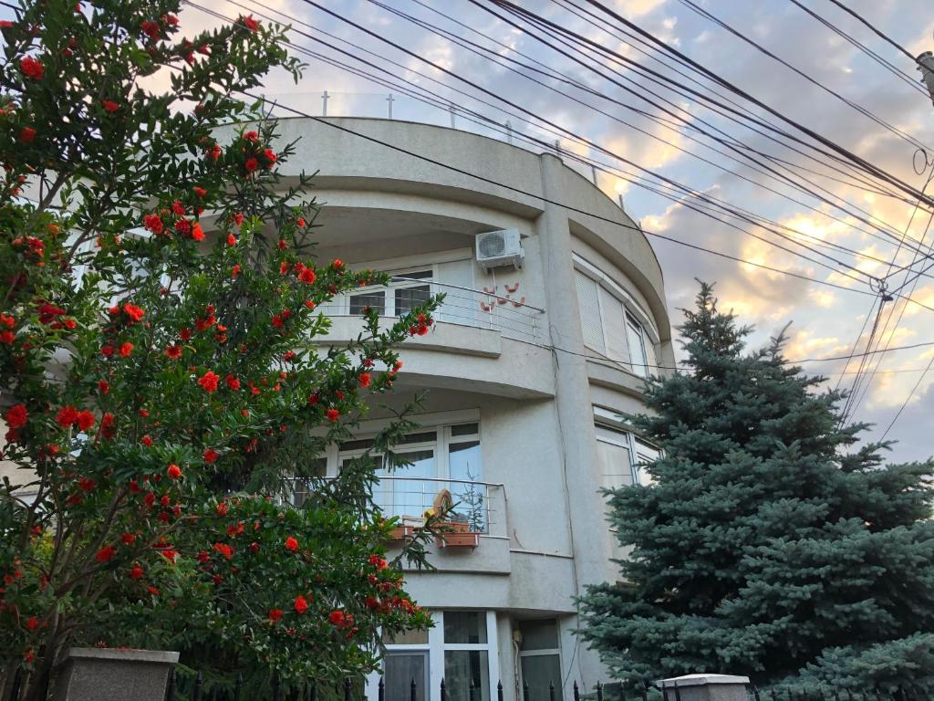 a person sitting on a balcony of a building at Pensiunea Pont-Euxin in Constanţa