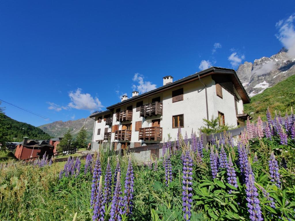 ein Gebäude mit lila Blumen davor in der Unterkunft Skichalet Cervinia Martino e Bassi apt Sandrino and Elena in Breuil-Cervinia