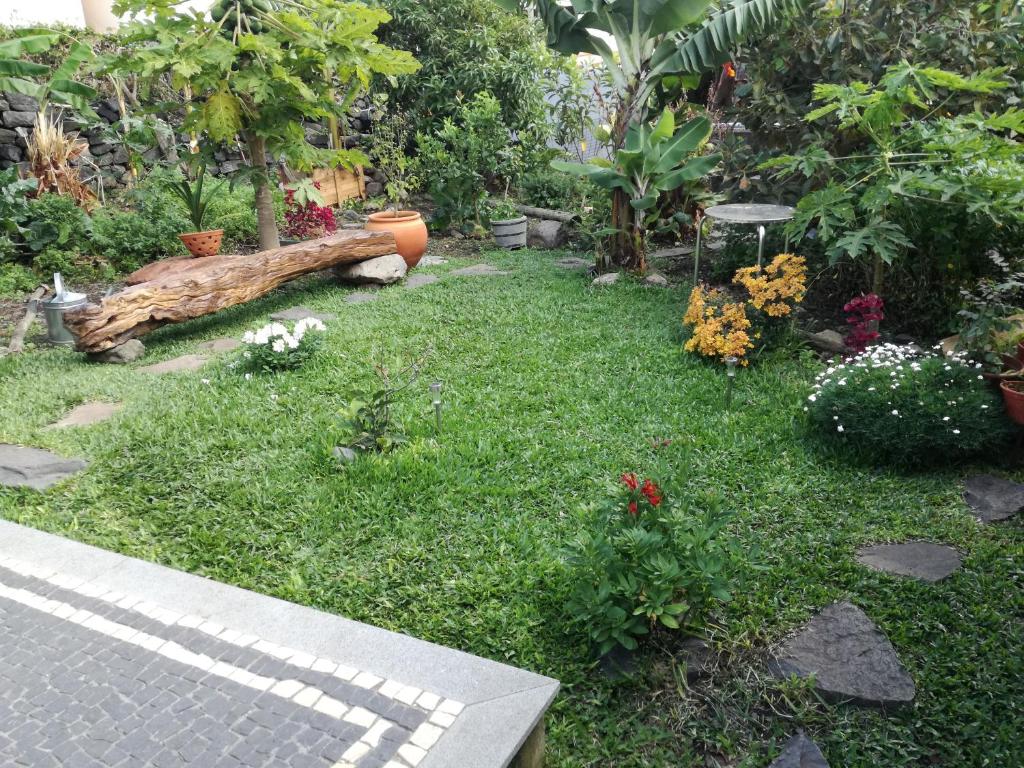 un giardino con un tronco sull'erba e fiori di Casa da Bungavillia a Machico