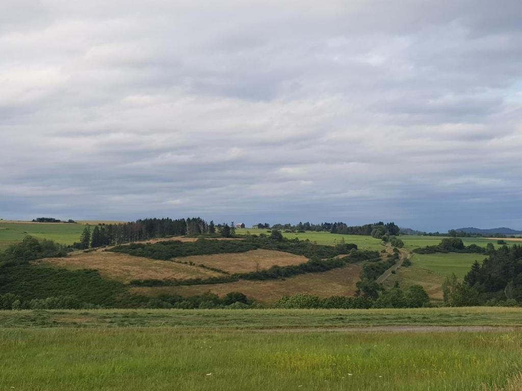 a grassy hill with trees on top of it at Ferienwohnung Parkblick Medebach in Medebach