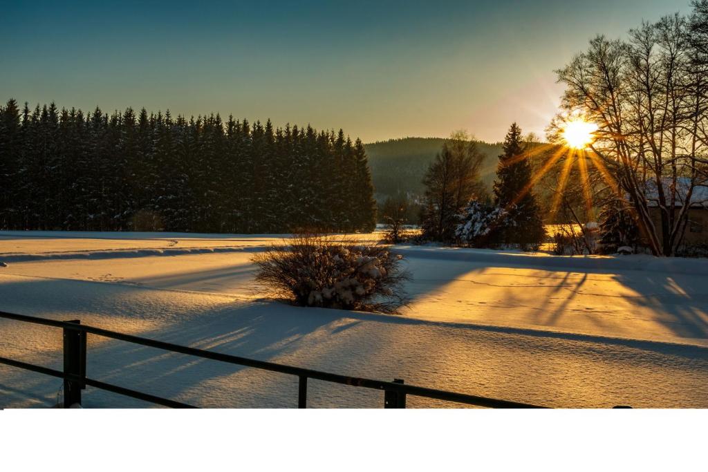 Příroda nedaleko apartmánu