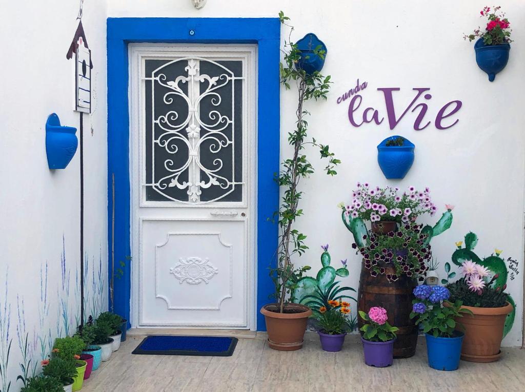 a blue door with potted plants in front of a building at Cunda La Vie in Balıkesir