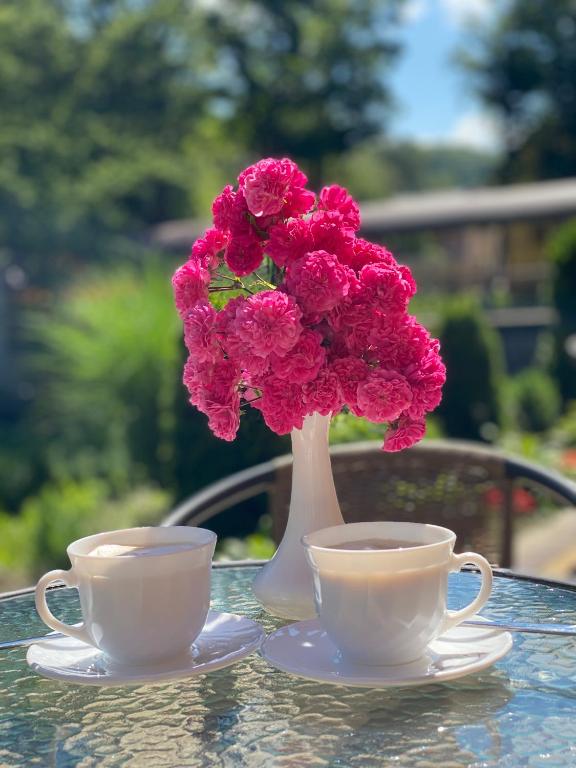 Set per la preparazione di tè e caffè presso Сонячна Соната