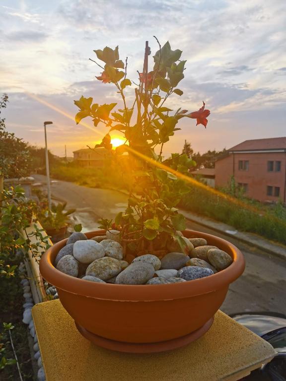 Východ nebo západ slunce při pohledu z apartmánu nebo okolí