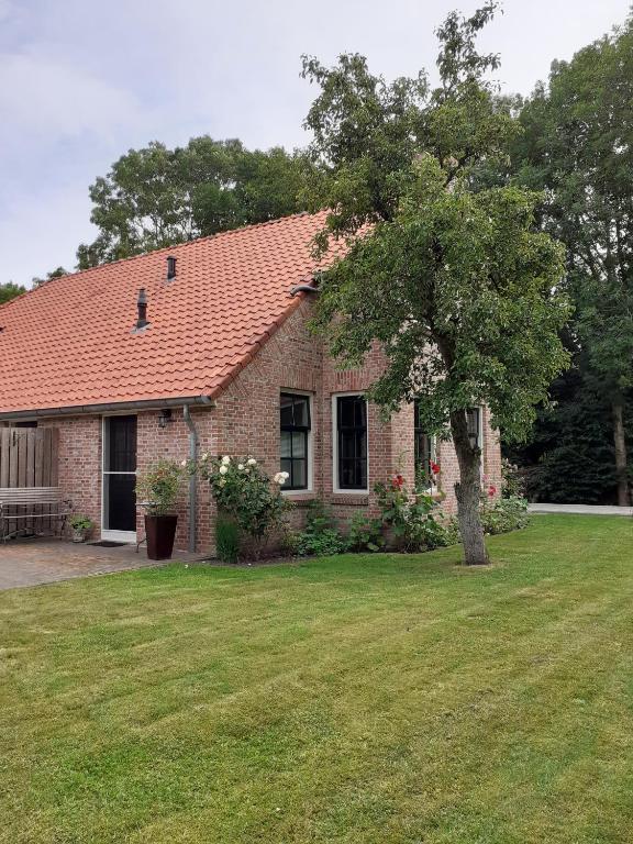 a brick house with a tree in the yard at B&B Oudeschans in Oudeschans