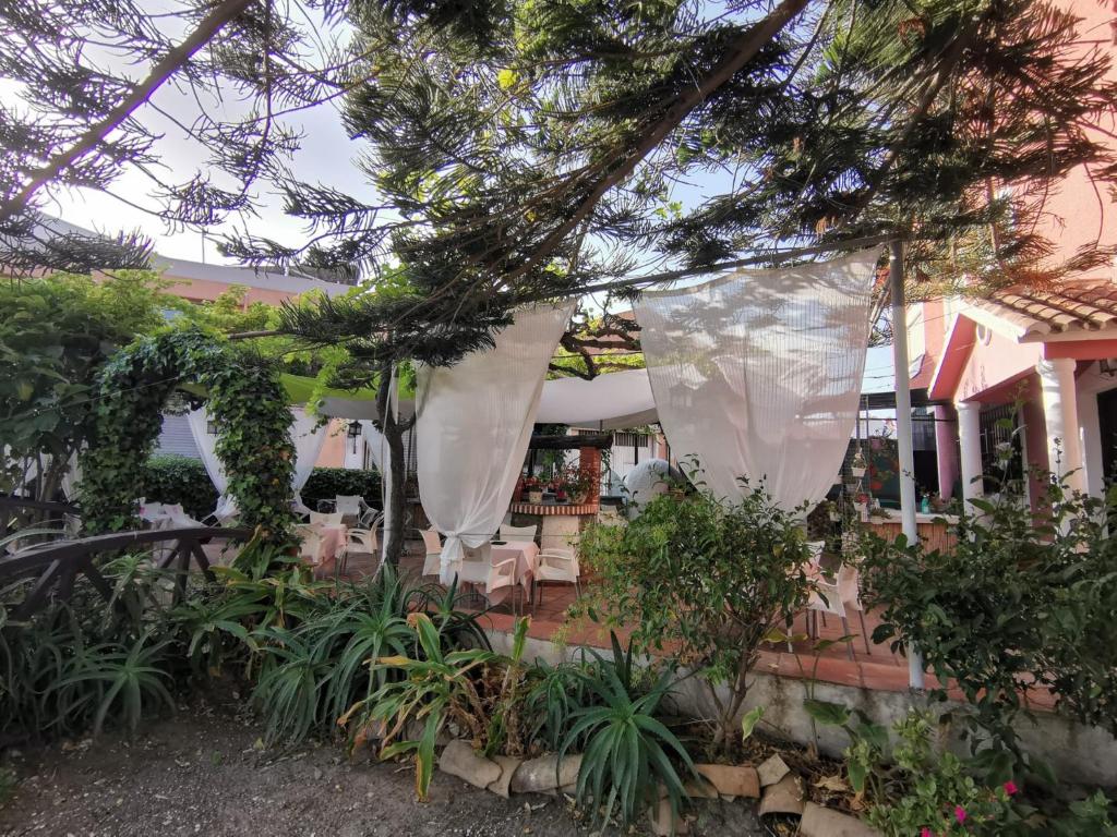 a garden area with tables, chairs and umbrellas at El Tio Mateo in Marbella