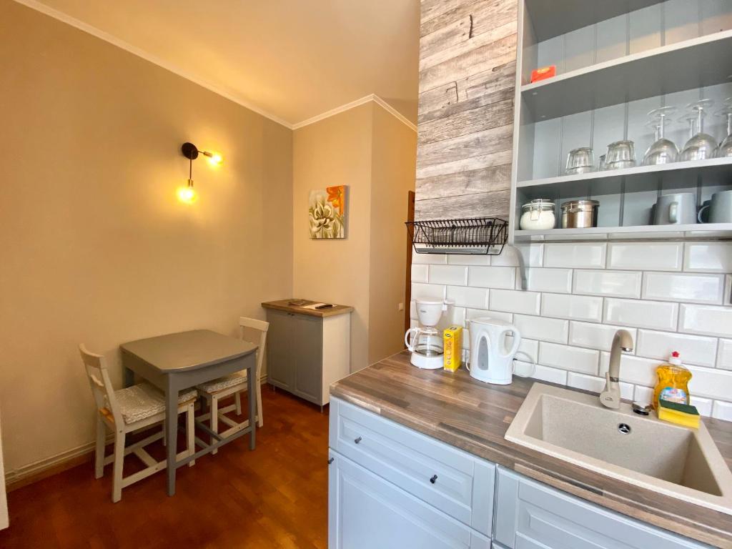 a kitchen with a sink and a counter top at Johann Gott Suite in Braşov