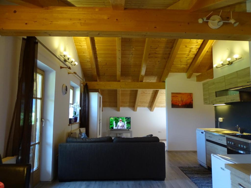 因澤爾的住宿－Ferienwohnung Anastasia，客厅设有木制天花板和沙发。
