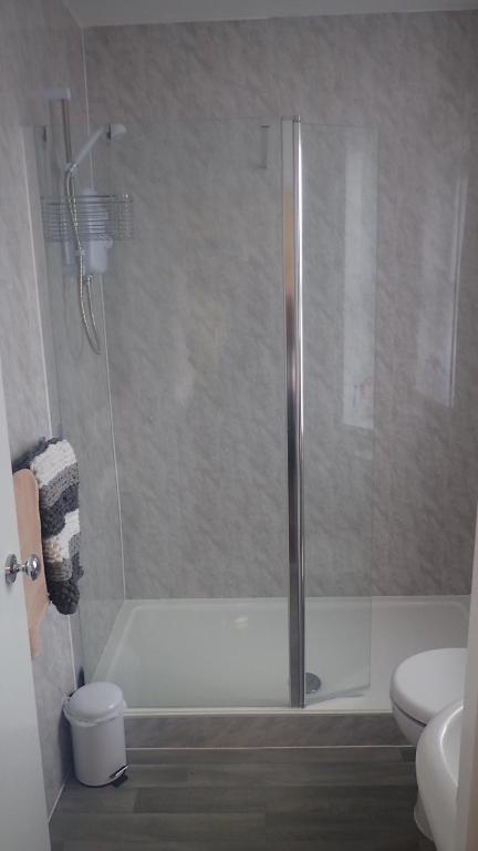 a bathroom with a shower and a toilet at The Victoria guest house in Mablethorpe