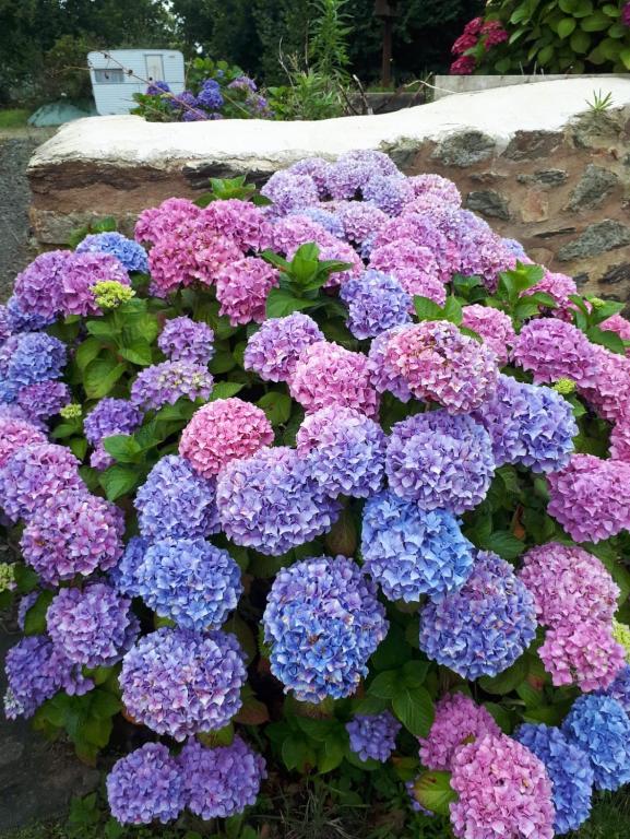 Zahrada ubytování Manoir de Parc ar Brun