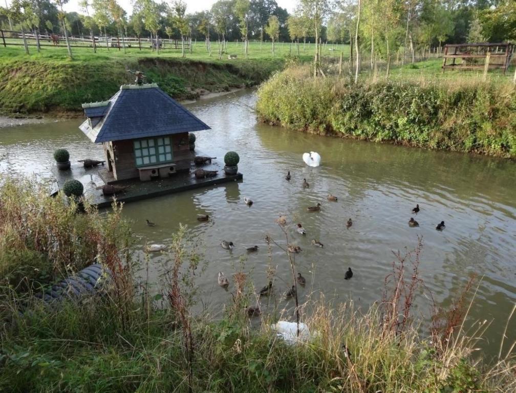 Výhled na řeku, která protéká v blízkosti bed and breakfast